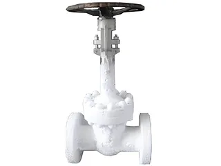 Cryogenic Cast Steel Gate Valve